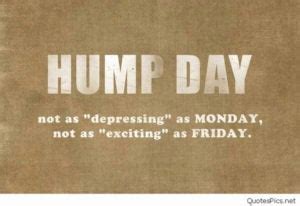 happy humping day|Happy Hump Day – Meaning, Origin, Usage .